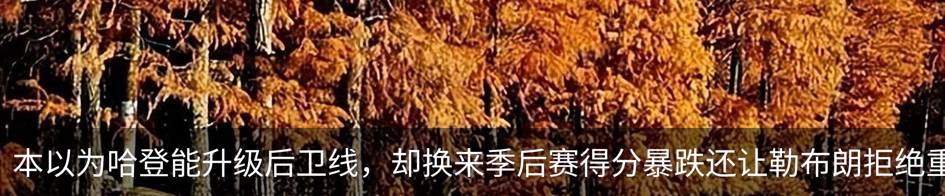 内页banner